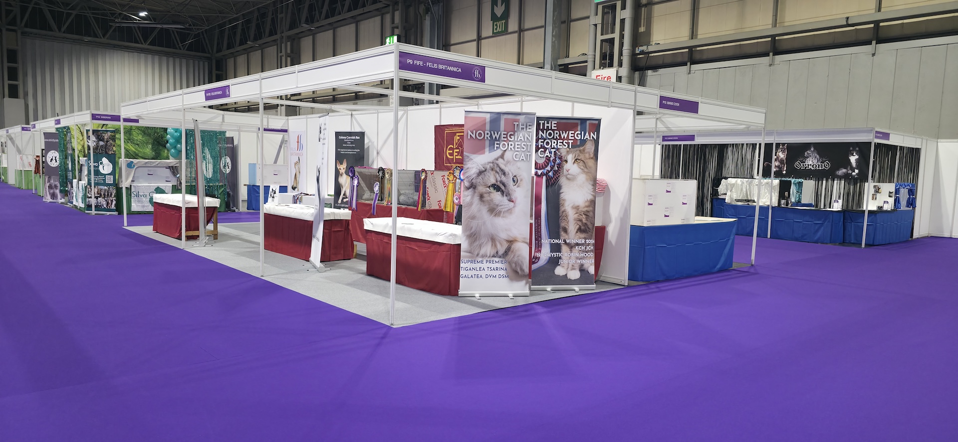 Cat Show Live 2025 — final build